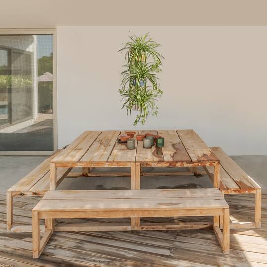 3.5ft. Spider Plant in Three-Tiered Wall Planter